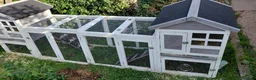 Guinea Pig rodents for sale: 2 adults female guinea pigs and hutch - Advert 8