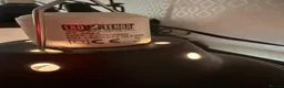 Chameleon reptiles for sale: Nosy B Cameleon - Advert 18
