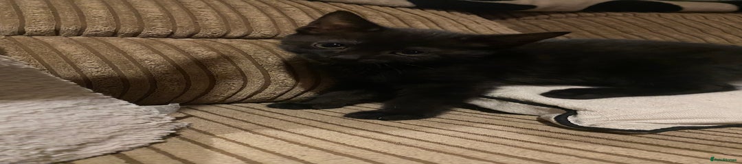 Female 2