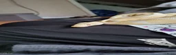 Python Snake reptiles for sale: 7 year old albino ball python friendly  in Watford - Advert 4