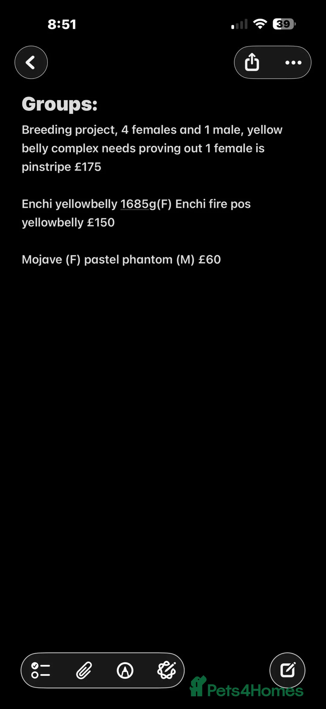 Python Snake reptiles for sale: Various Royal Pythons for sale - Advert 7