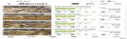 Snake reptiles for sale: Western Hognose  in Westgate-on-Sea - Advert 1