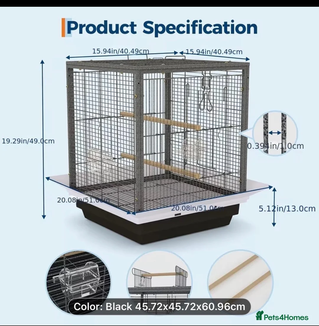 Budgerigars birds for sale: Rainbow helicopters, hand tame baby budgies  - Advert 15
