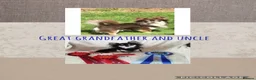 Chihuahua dogs for sale: Stunning quality KC reg long coat puppies  - Advert 2