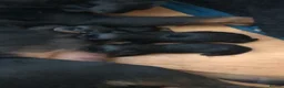 Rottweiler dogs for sale: Rottweiler puppies ready on the 16th of October in South Shields - Advert 10