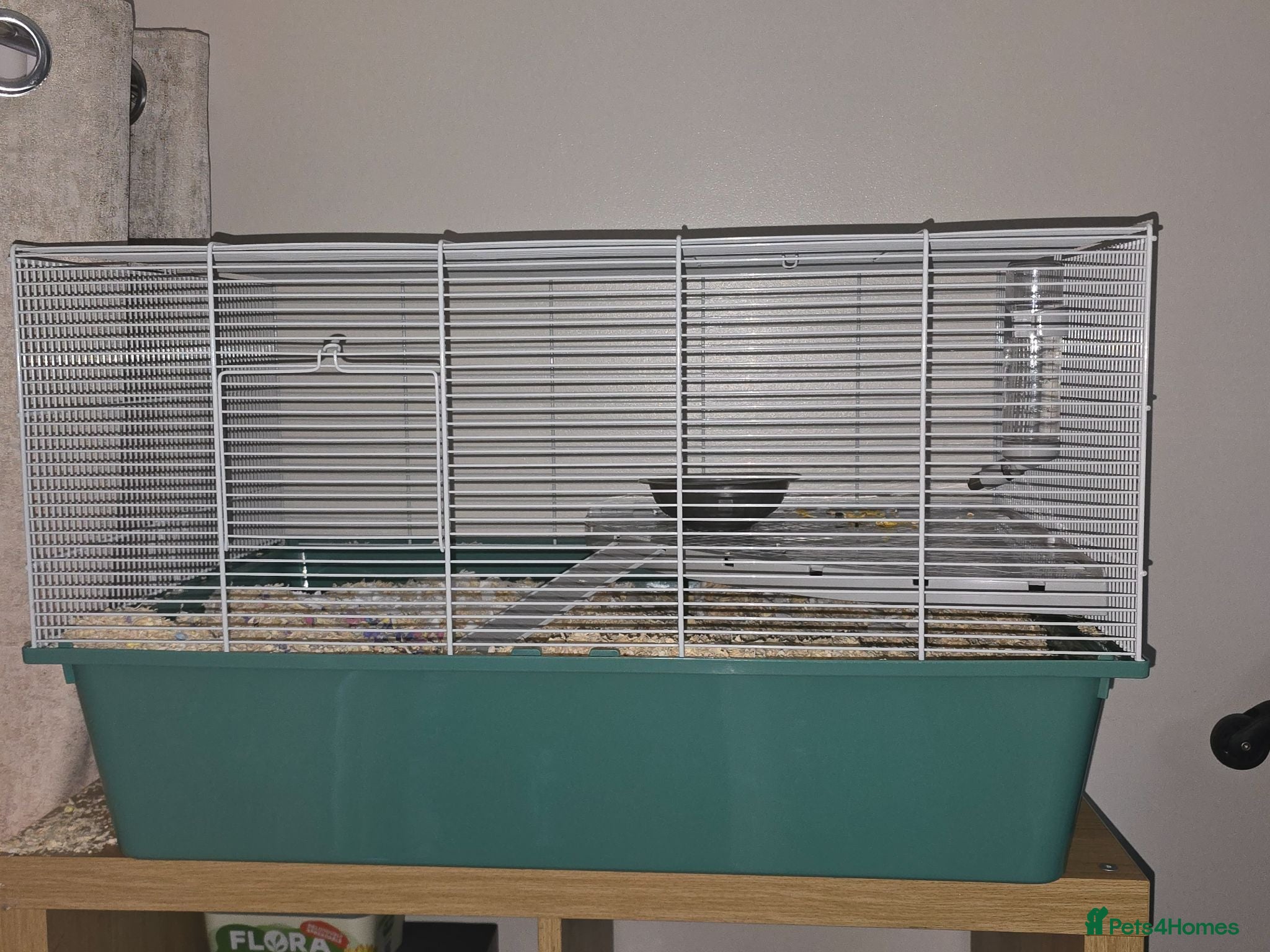 Hamster rodents Donut  - Advert 2