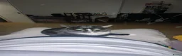Mixed Breed cats for sale: 2 Cats need rehoming - Advert 10
