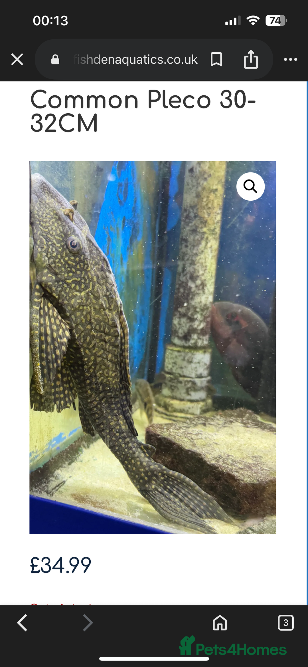 Cichlids fish for sale: 420l tank set up, loads of tropical fish - Image 9