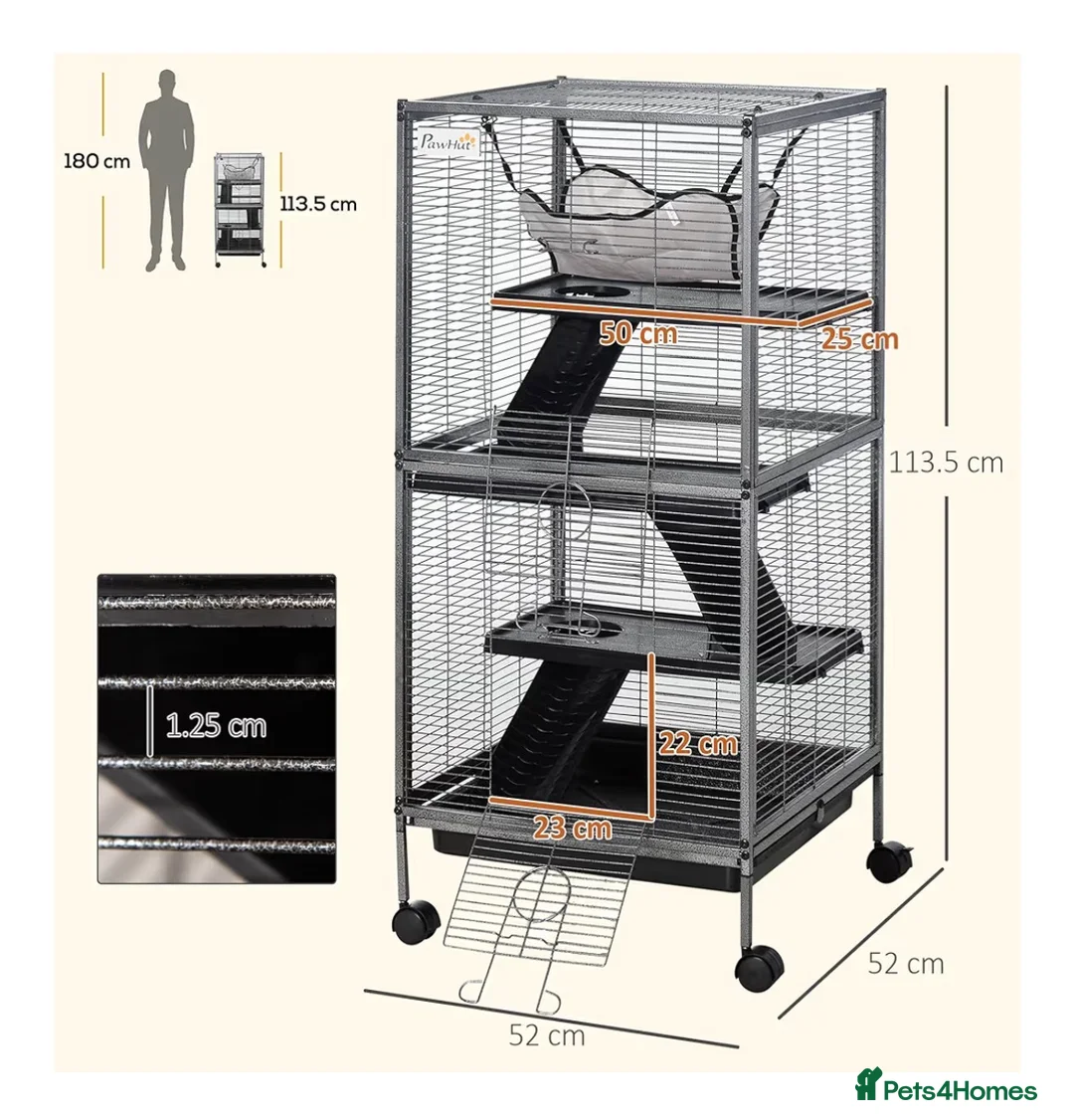 Rat rodents for sale: 2 rats and cage and accessories  in Honiton - Advert 5