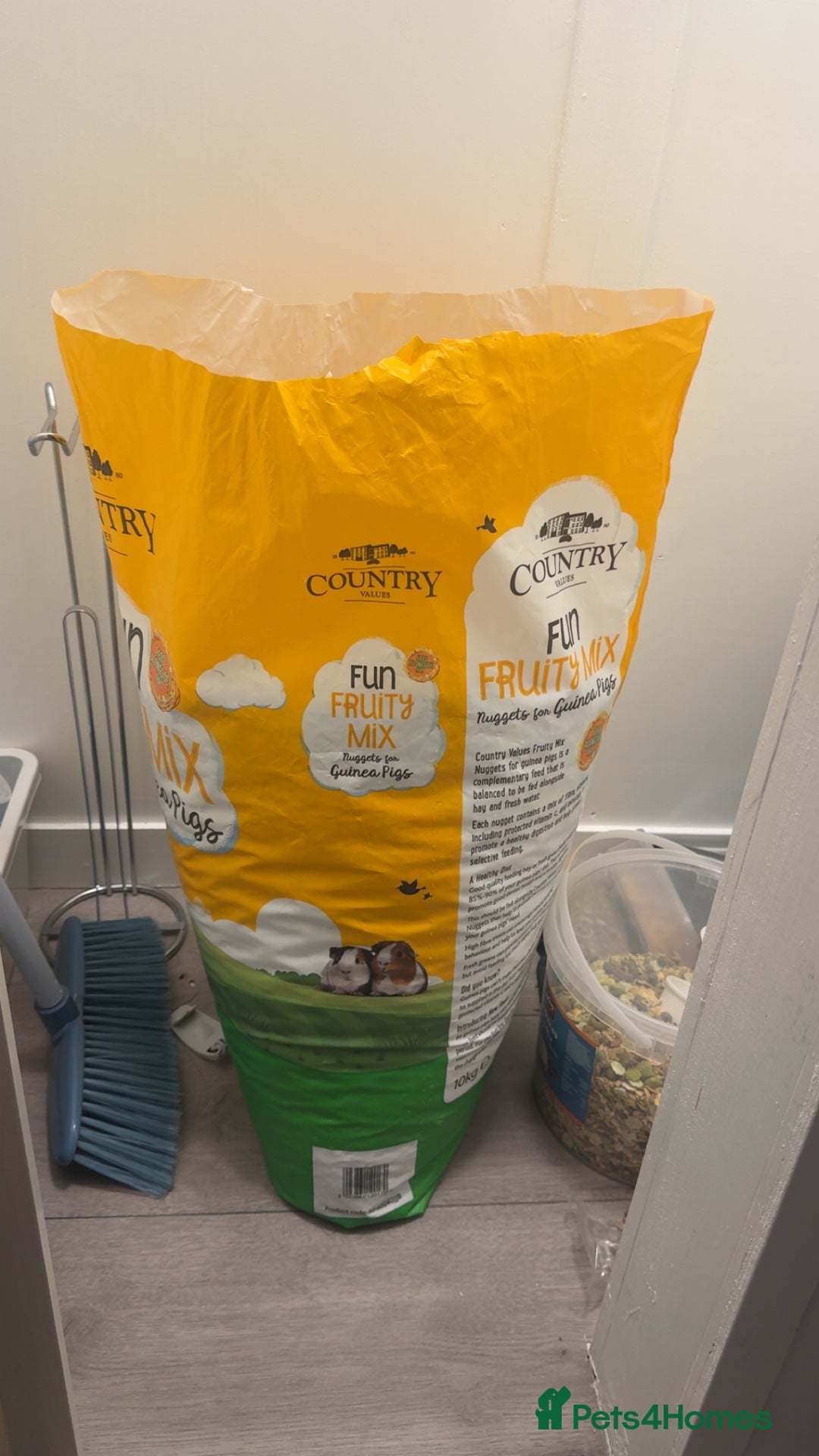 Guinea Pig rodents for sale: 3 Male Guinea Pigs - Image 6