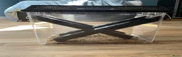 Leopard Gecko reptiles for sale: Leopard Gecko with vivarium and full set up in Milton Keynes - Advert 6