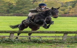 English Thoroughbred horses for sale: X2 safe stunning geldings alrounders - Image 30