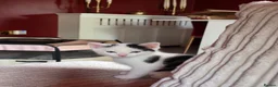 Bengal cats for sale: 4 Part Bengal kittens READY NOW  - Advert 8