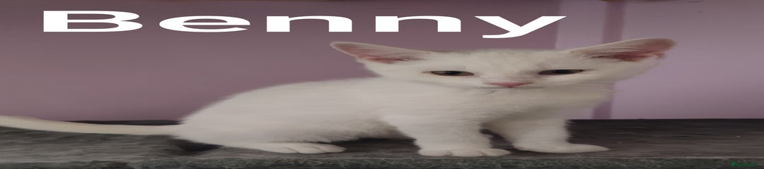 Benny