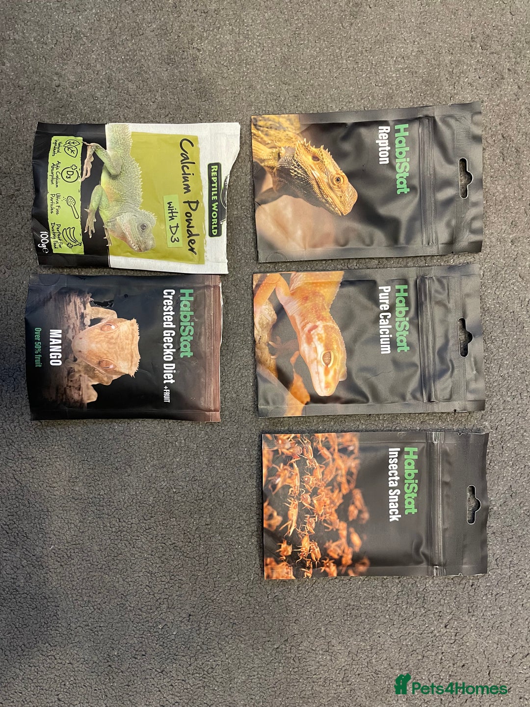 Gecko reptiles for sale: Crested Gecko, full set up, ready to go. - Advert 6