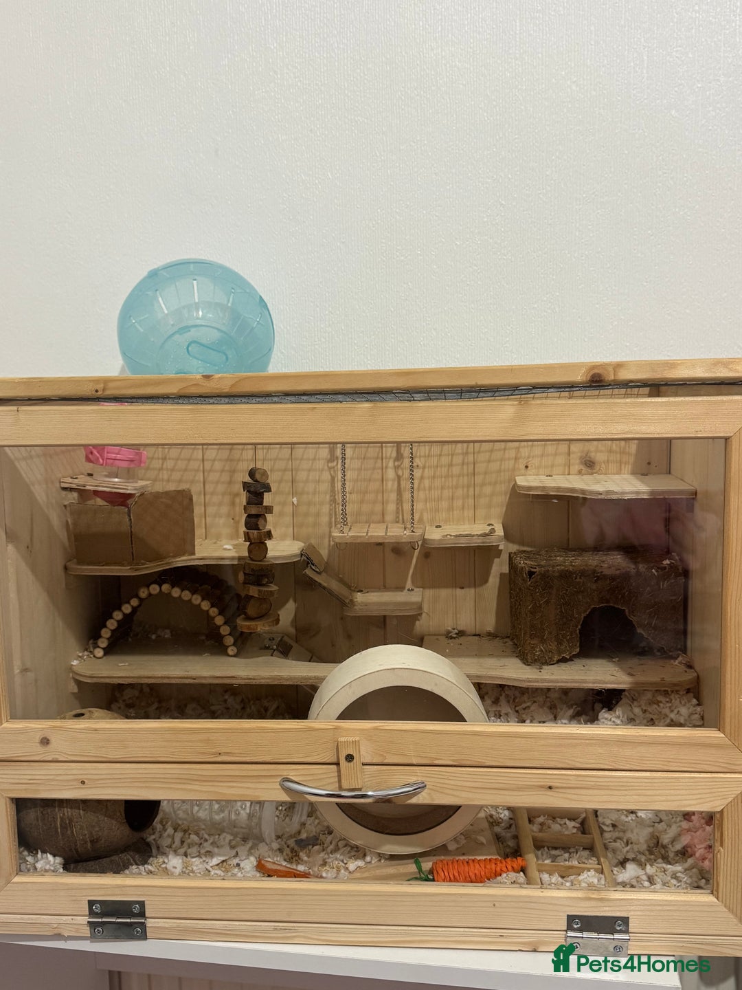 Hamster rodents for sale: Hamster and cage   - Advert 4
