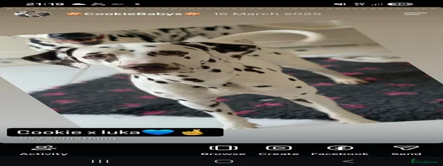 Luka