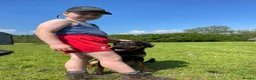 Huntaway dogs for sale: Huntaway x border collie pups  - Advert 33