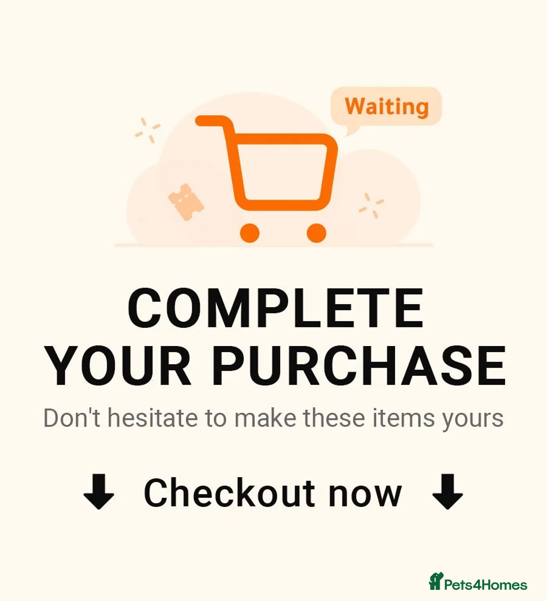 Lhasapoo dogs for sale: Lhasapoo pups (doodles) F1b  - Advert 25