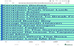 Boxer dogs for stud: Bane - Kc registered boy in Chesterfield - Image 11