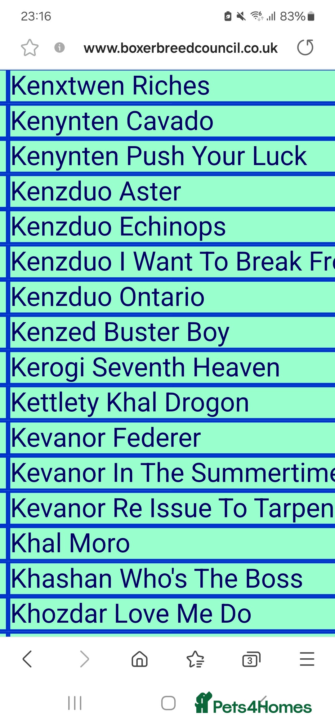 Boxer dogs for stud: Bane - Kc registered boy in Chesterfield - Image 11