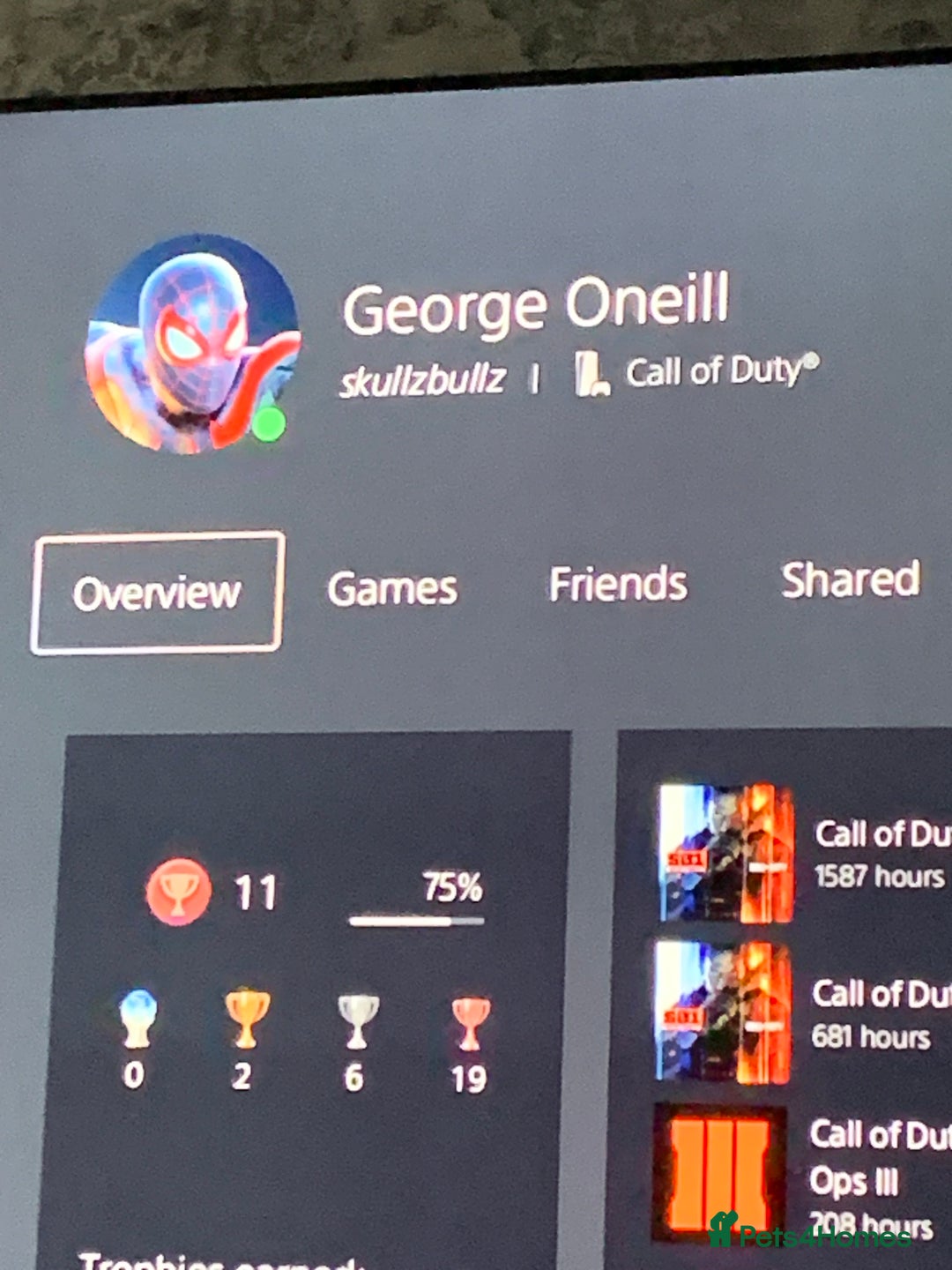 Python Snake reptiles for sale: Ball pythons / royal pythons  - Advert 5