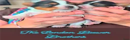 Biewer Terrier dogs for sale: Biewer terrier puppies x 2 boys - Advert 26