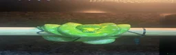 Python Snake reptiles for sale: Female Biak Green Tree Python - Advert 4