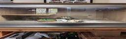 Tortoise reptiles for sale: Horsefield Tortoise with full set up and vivarium in Maldon - Advert 2