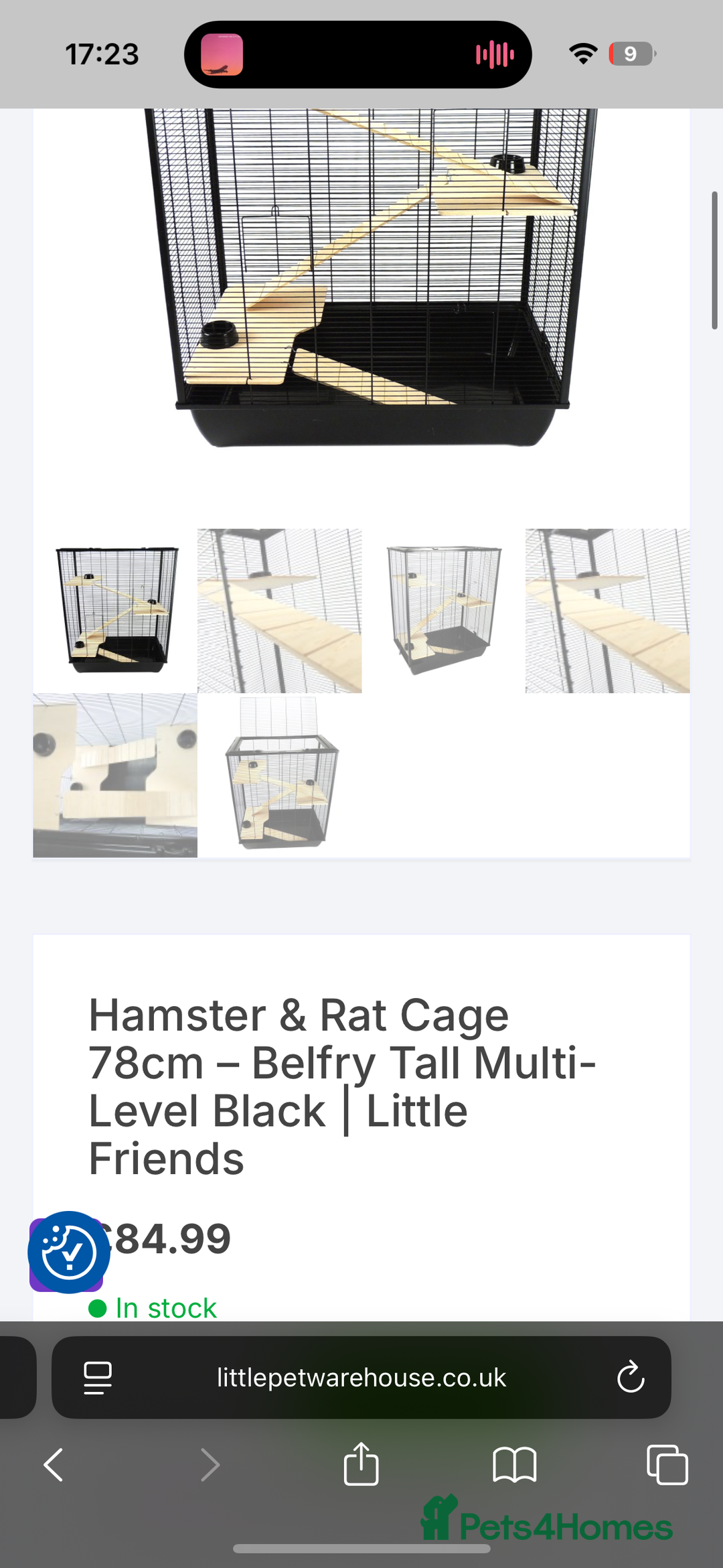 Rat rodents for sale: 2 girl rats rehoming w/ free cage and accessories - Image 9
