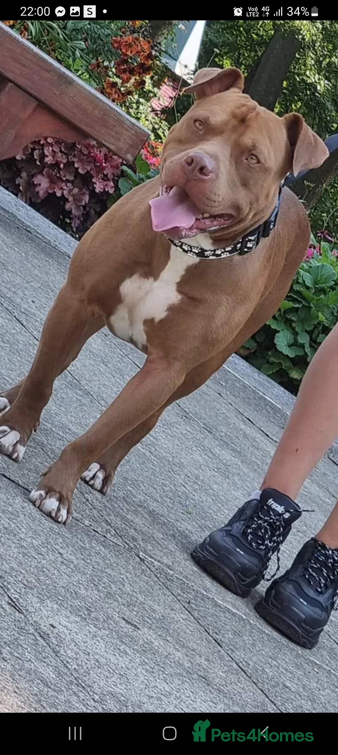 Gallery Image {{count}}