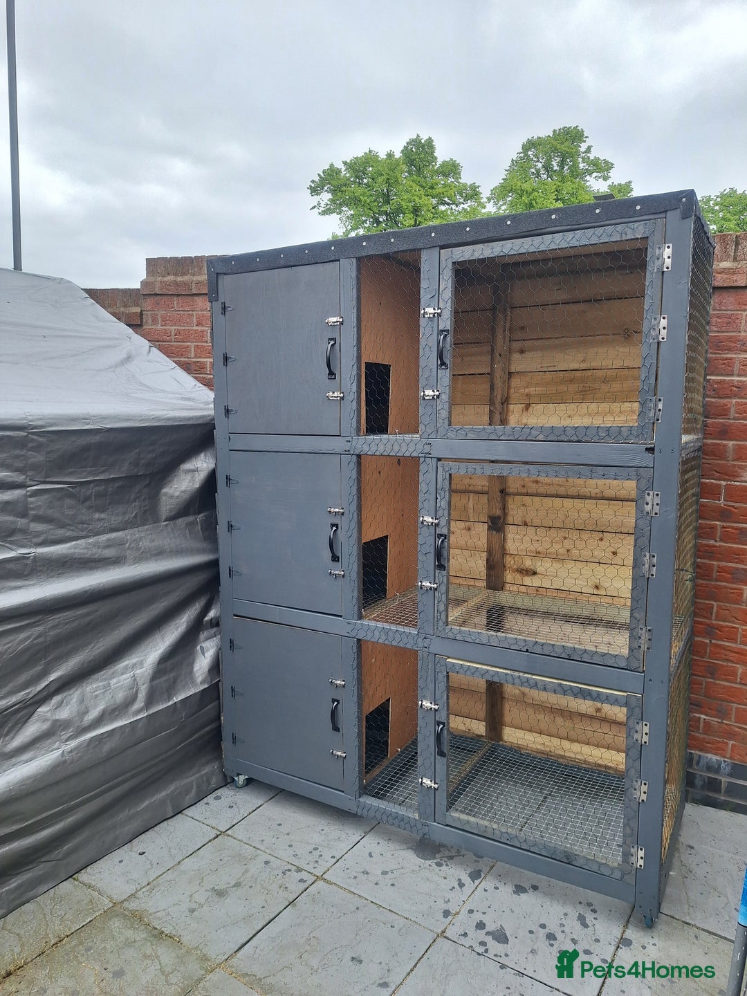 Mixed Breed rabbits for sale: New Zealand cross Californian rabbits Colony - Advert 18