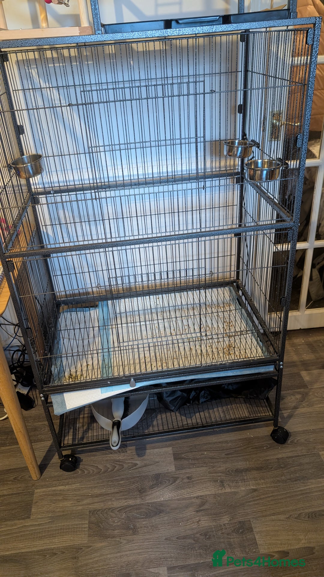 Budgerigars birds for sale: 2 Budgies and Cage - Advert 8