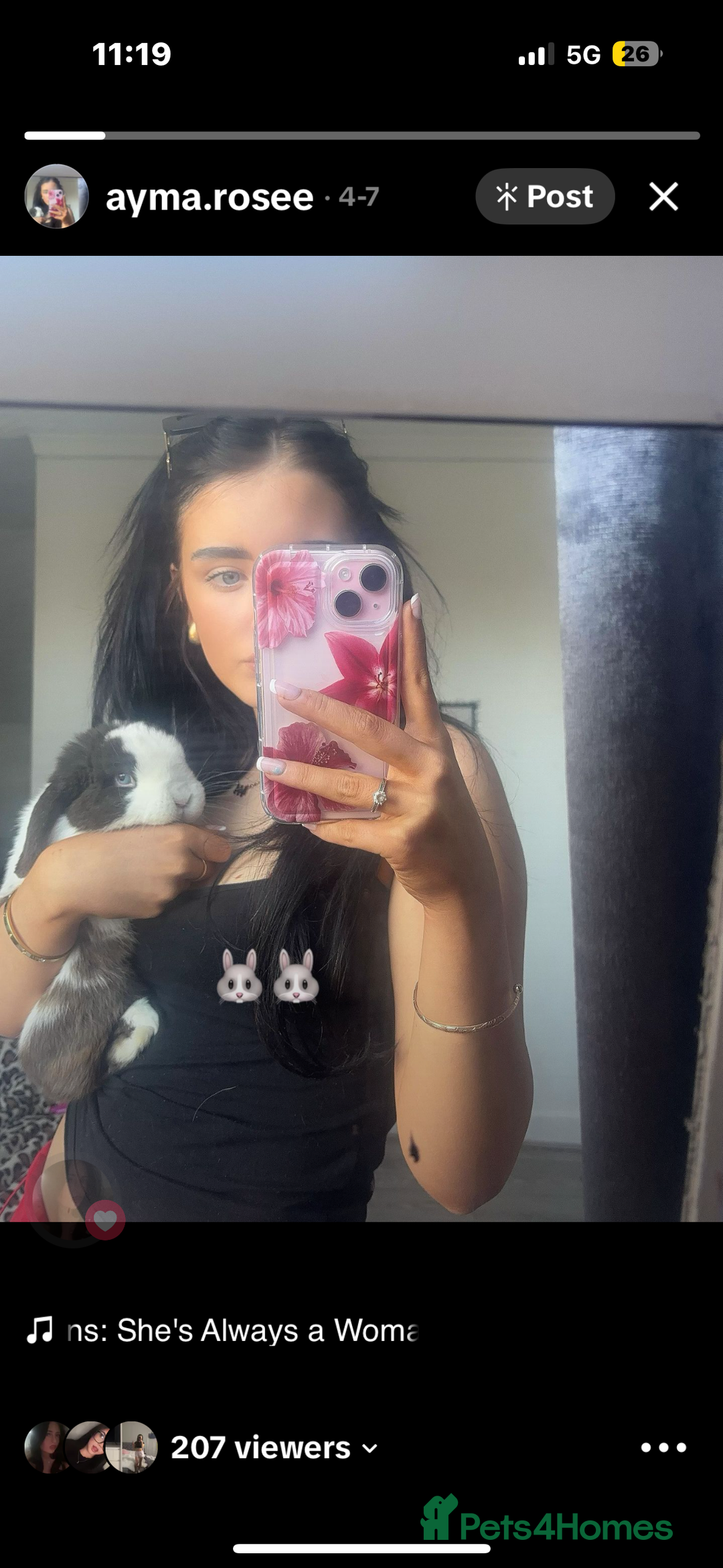 Mini Lop rabbits for sale: Beautiful Blue eyed Mini Lop for sale ( Male) in Glasgow - Image 4