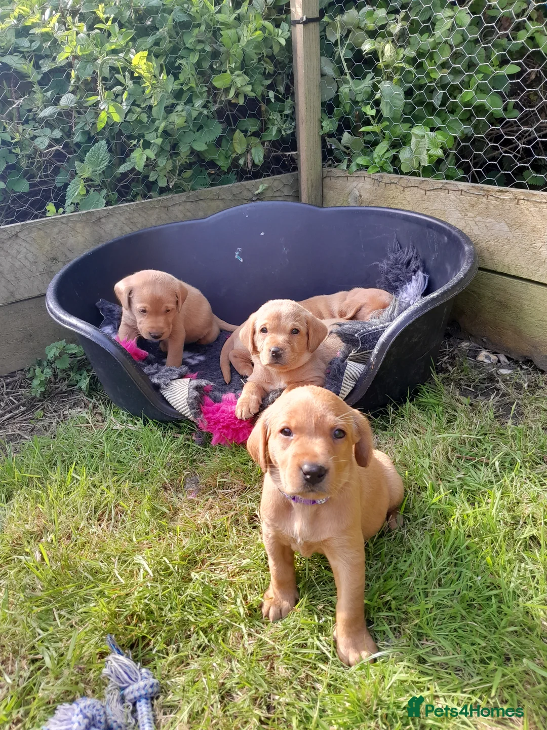 Gallery Image {{count}}