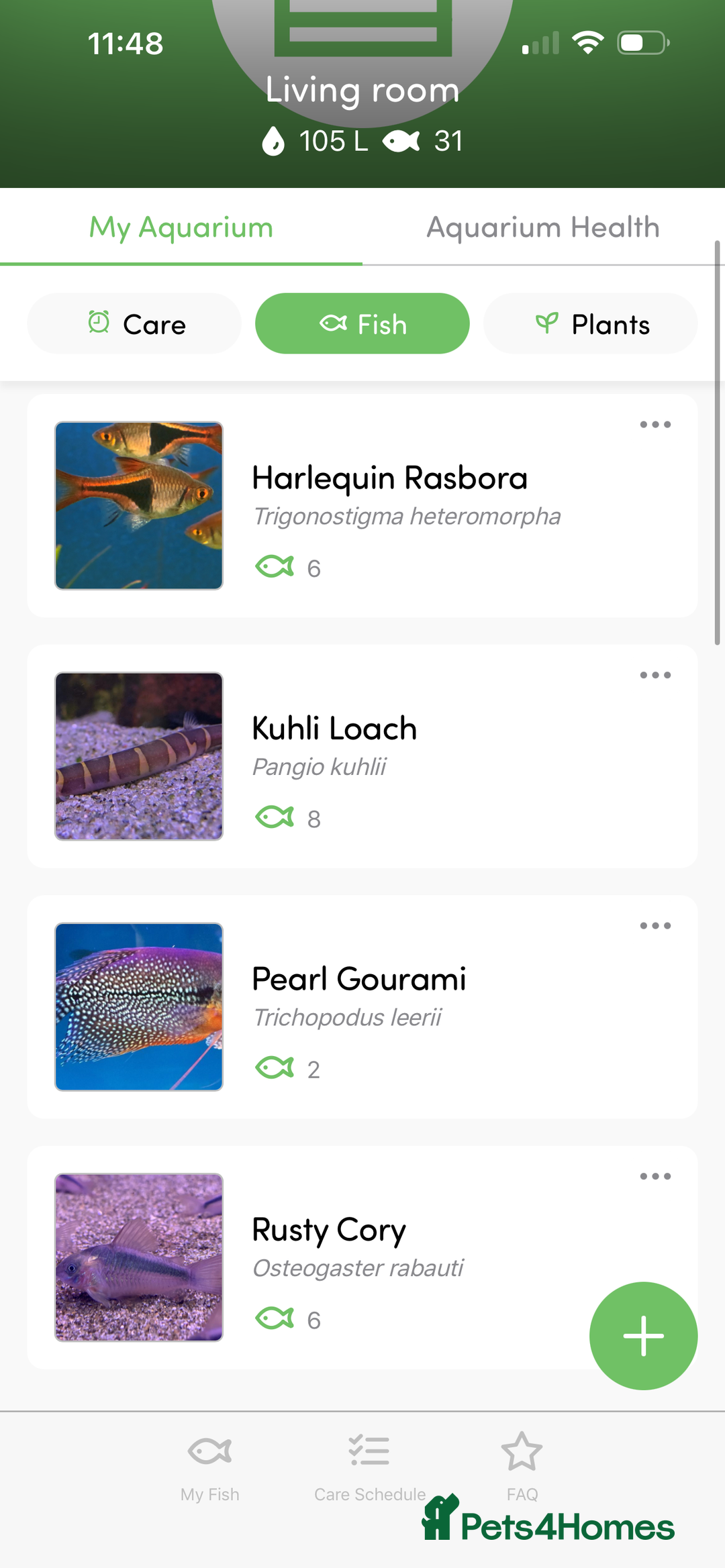 Gouramis fish for sale: 105l tank with live fish  - Advert 4