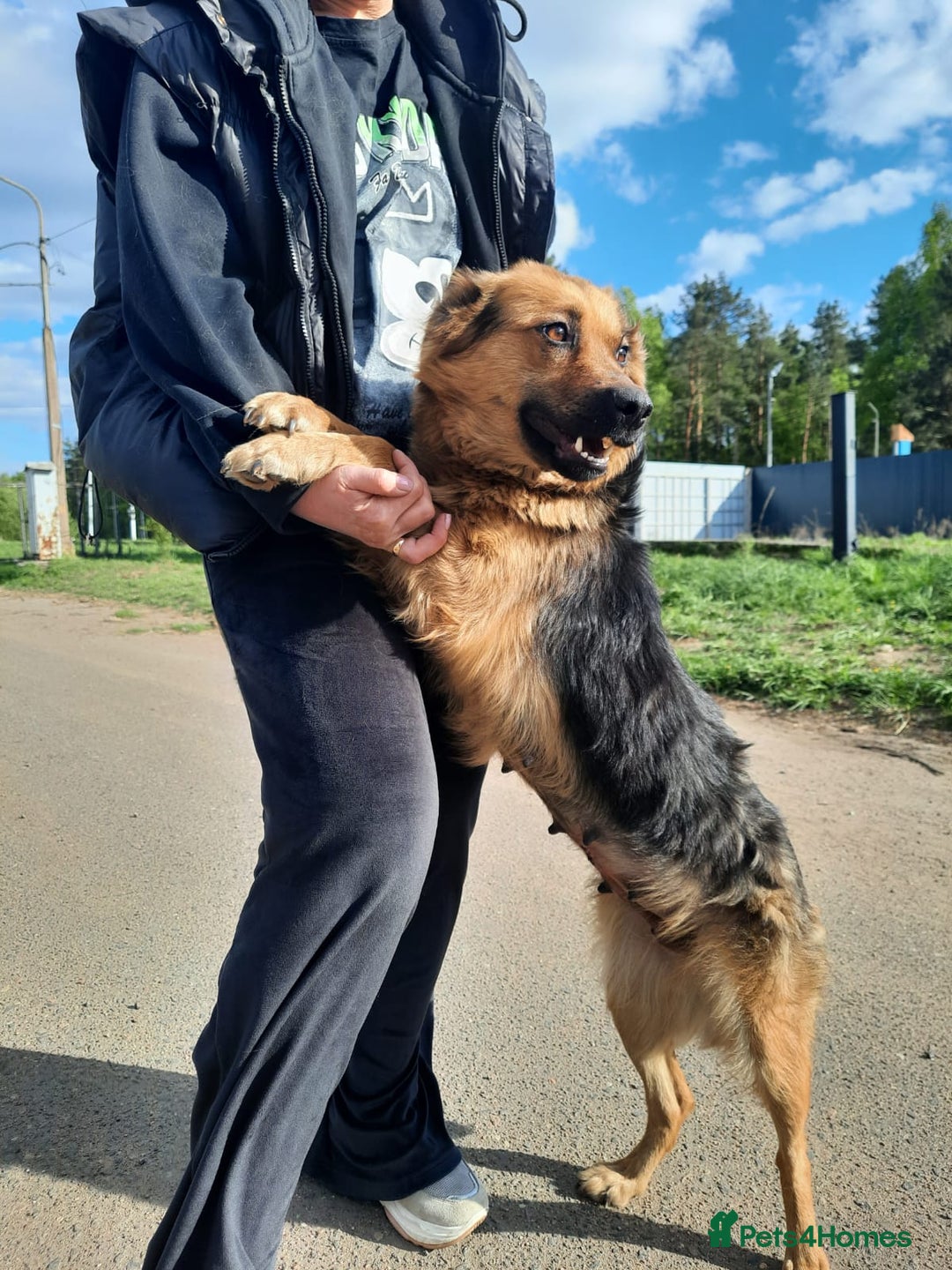 Mixed Breed dogs for adoption: 💖🐶 CHIKA 🐶💖 - Image 11