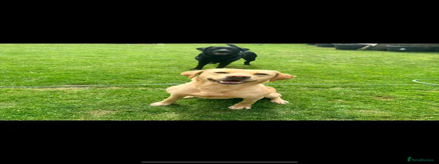 2022