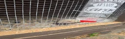 Ferret rodents for sale: Ferrets  in Lincoln - Advert 2