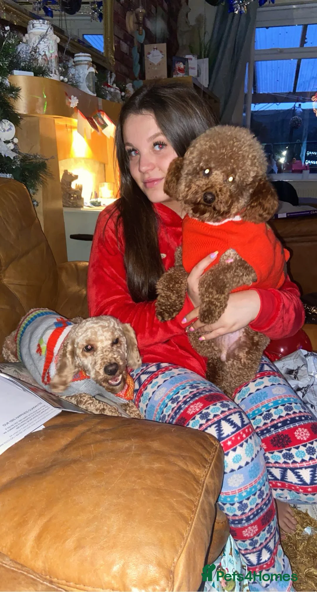 Gallery Image {{count}}