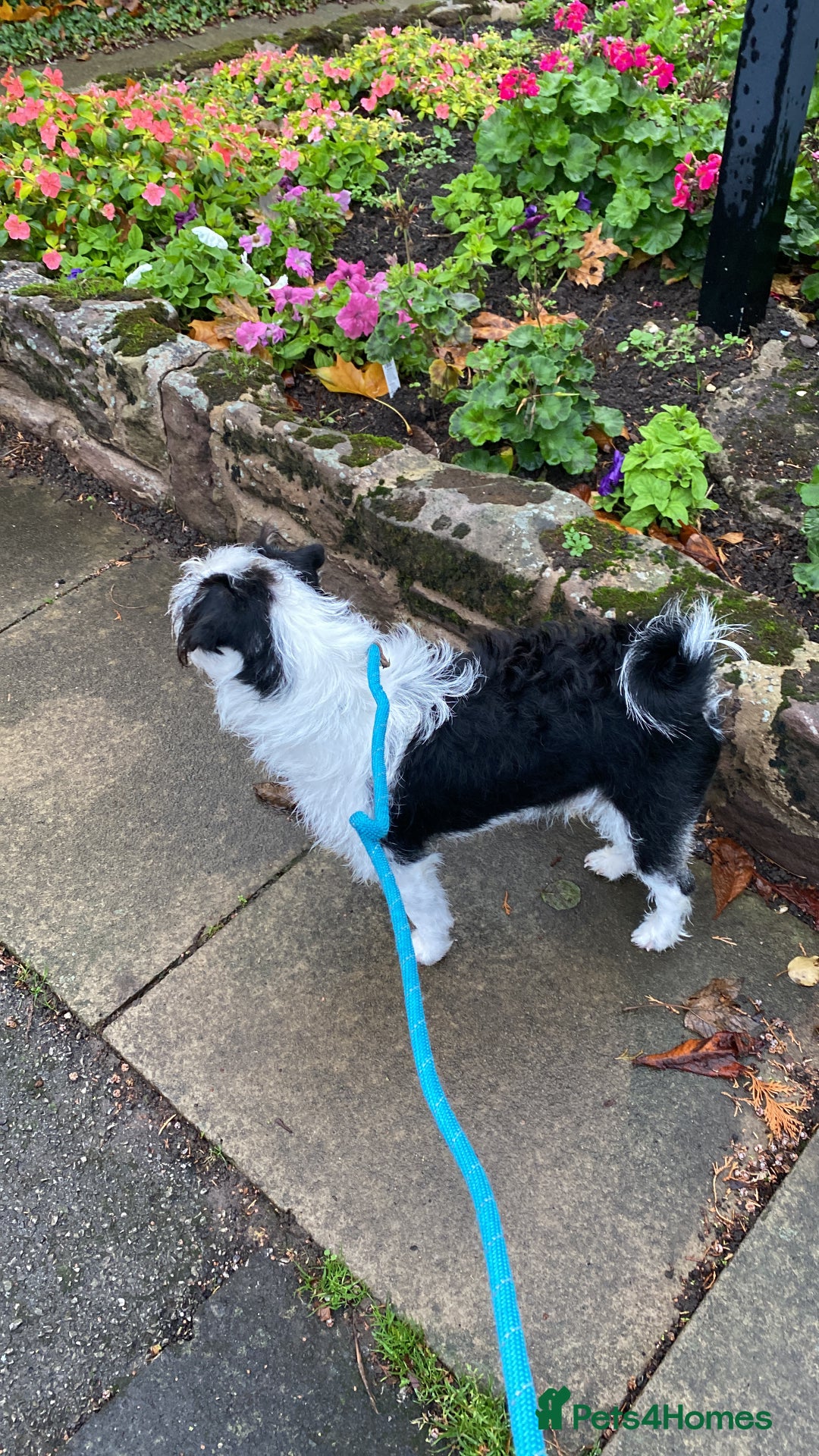 Gallery Image {{count}}