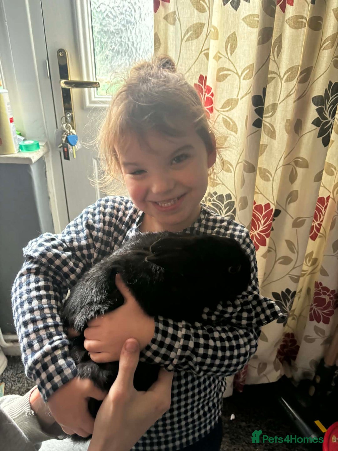 Mixed Breed rabbits for sale: 2 Very Freindly And Loving Rabbits - Advert 7