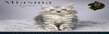 Miasma
