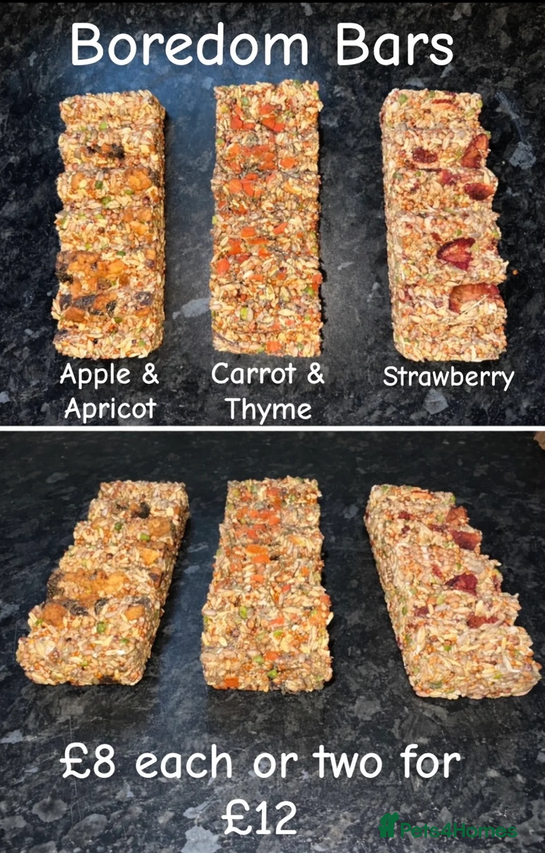 Hamster rodents for sale: Baby hamsters  - Advert 2