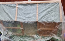 Quail poultry for sale: Quails with set up  - Image 3