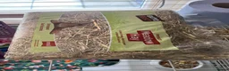 Guinea Pig rodents for sale: 11-Month-Old Male Guinea Pig + Cage & Accessories in Norwich - Advert 10