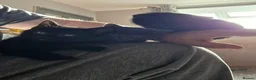 Mixed Breed cats for sale: Pure black and pure grey kittens - Advert 2