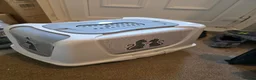 British Longhair cats for sale: One British long haired and one short haired.  - Advert 4