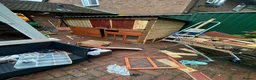 Lionhead rabbits for sale: Lionhead rehome in Solihull - Advert 19