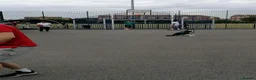 Siberian Husky dogs for stud: Husky Stud  - Advert 19